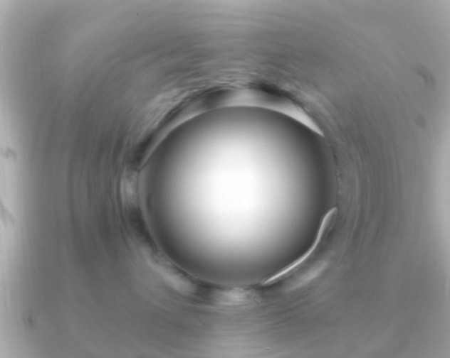 X0000091100432200708131109