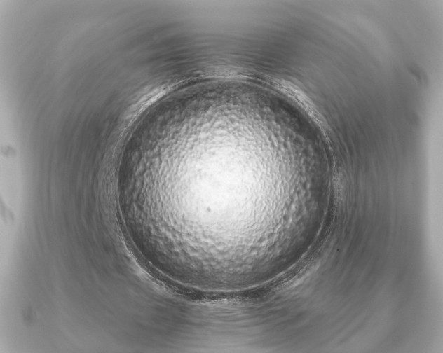 X0000091100433200708131109