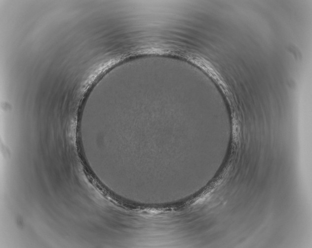 X0000091100434200708131109