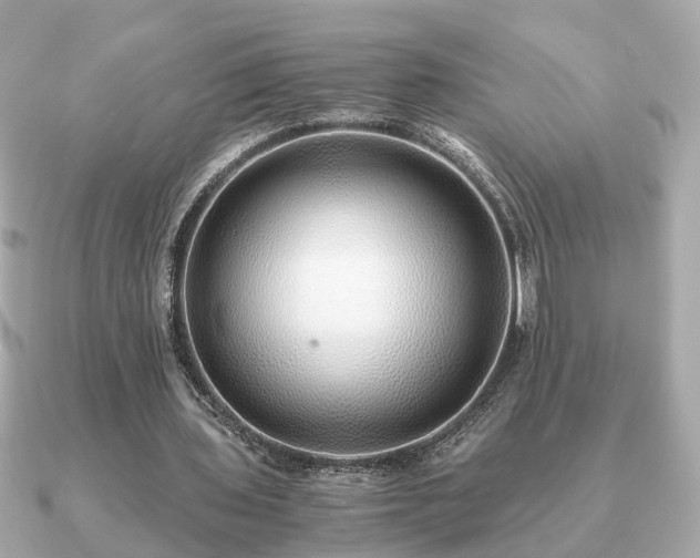 X0000091100435200708131109