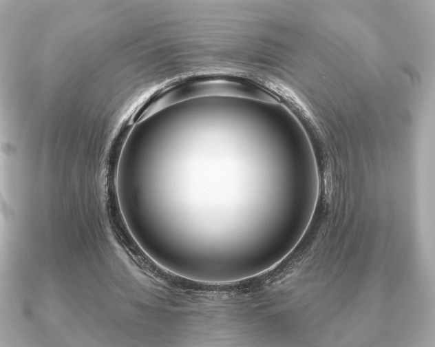 X0000091100436200708131109