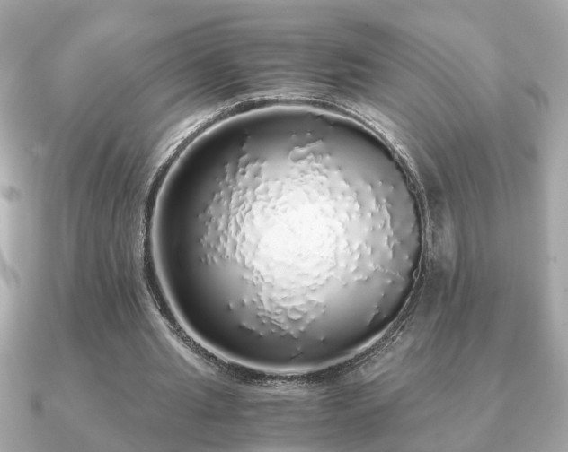 X0000091100437200708131109