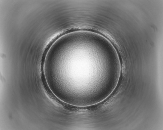 X0000091100438200708131109