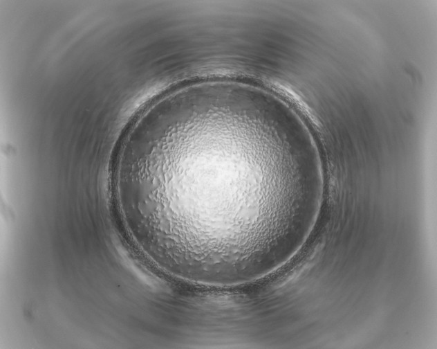 X0000091100439200708131109