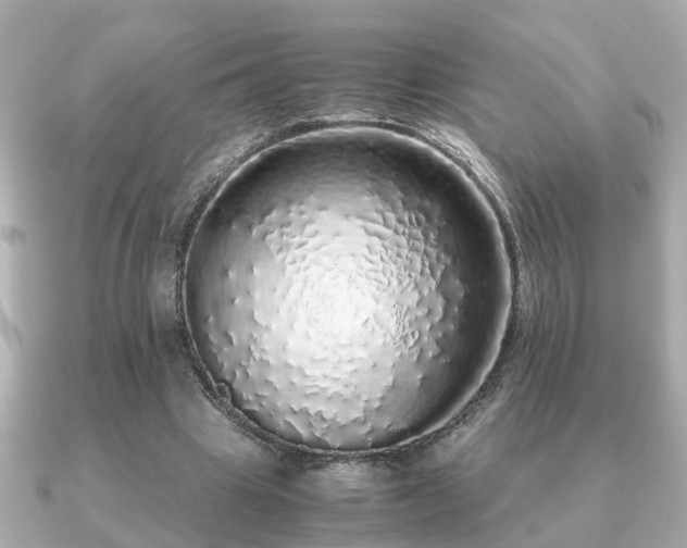 X0000091100441200708131109