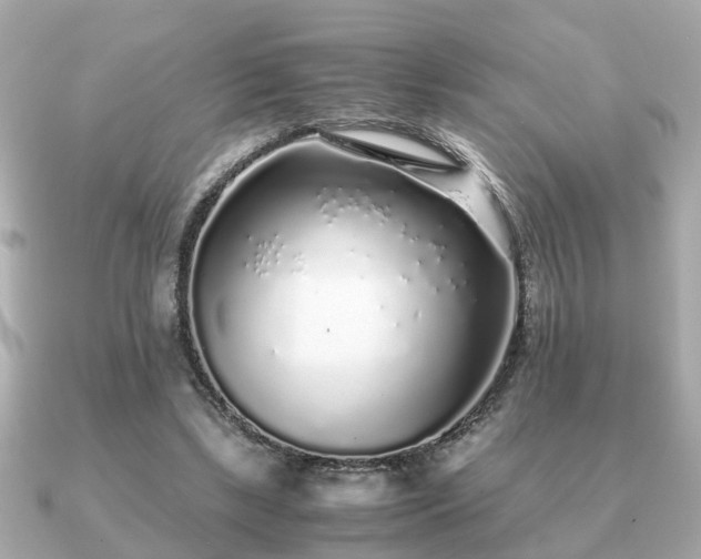 X0000091100443200708131109