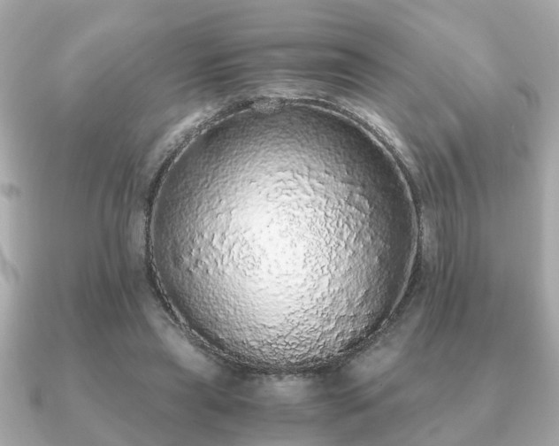 X0000091100445200708131109