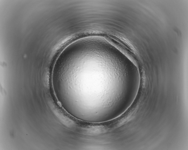 X0000091100446200708131109