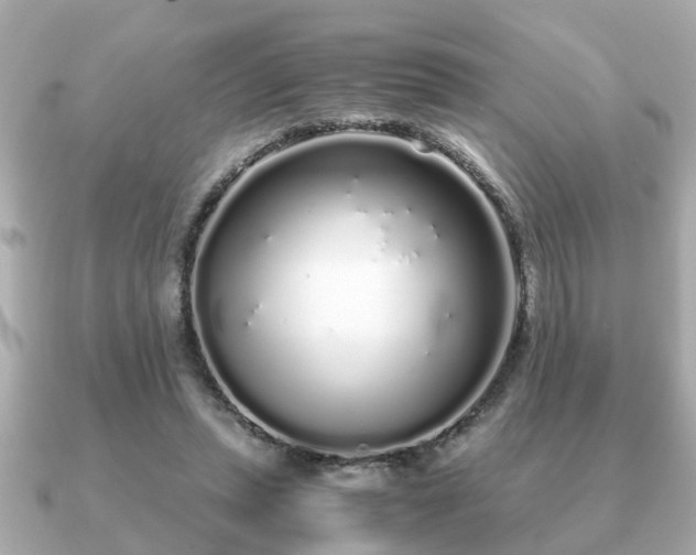 X0000091100447200708131109