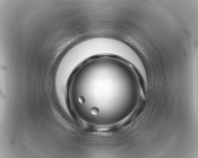 X0000091100448200708131109