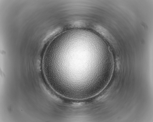 X0000091100450200708131109