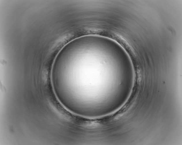 X0000091100451200708131109