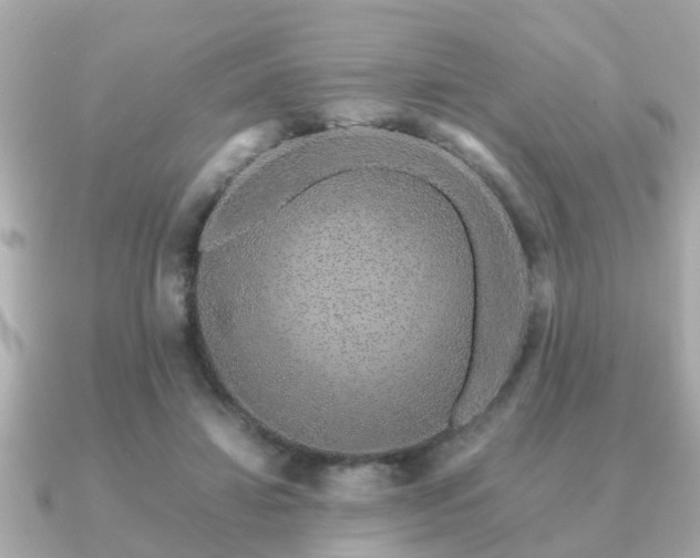 X0000091100452200708131109