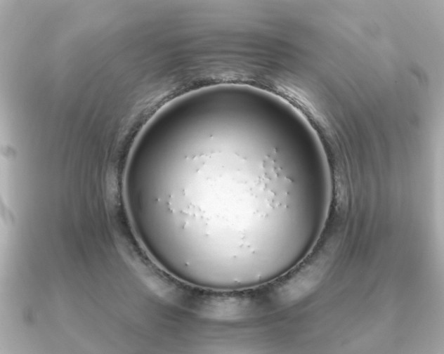 X0000091100453200708131109