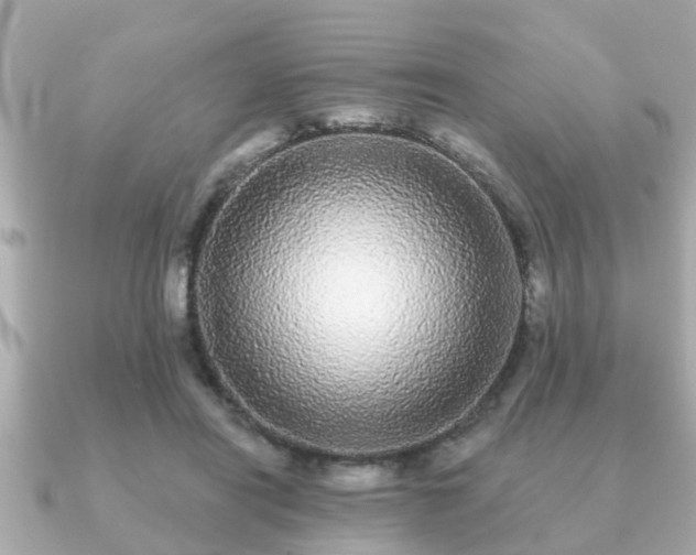 X0000091100454200708131109