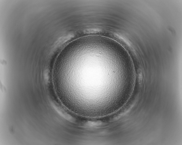 X0000091100455200708131109