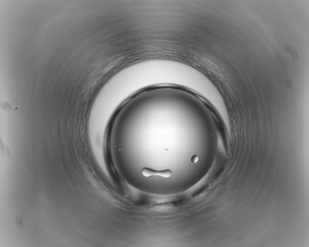 X0000091100456200708131109