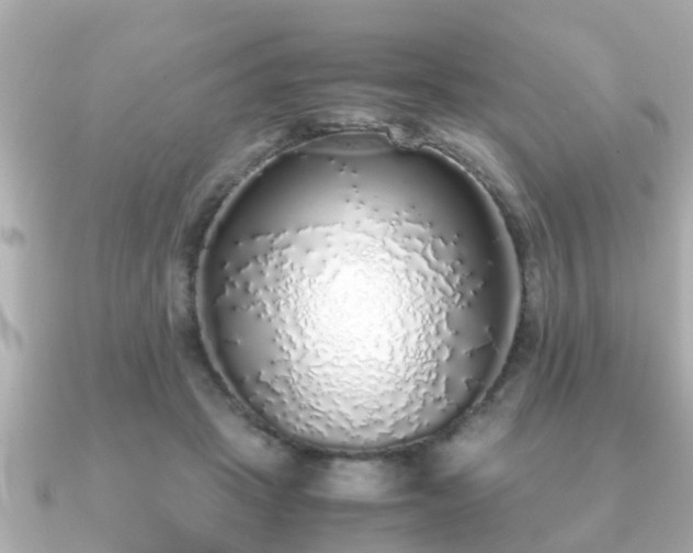 X0000091100457200708131109