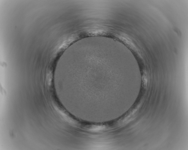 X0000091100458200708131109