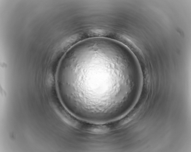 X0000091100459200708131109