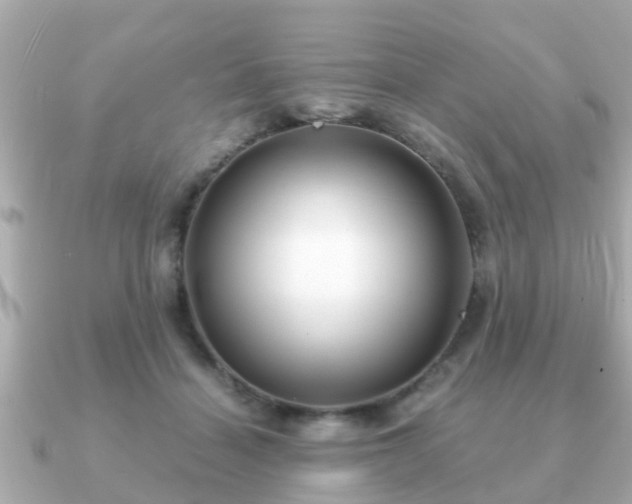 X0000091100460200708131109