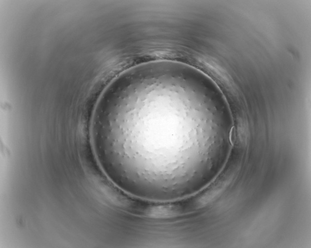 X0000091100461200708131109