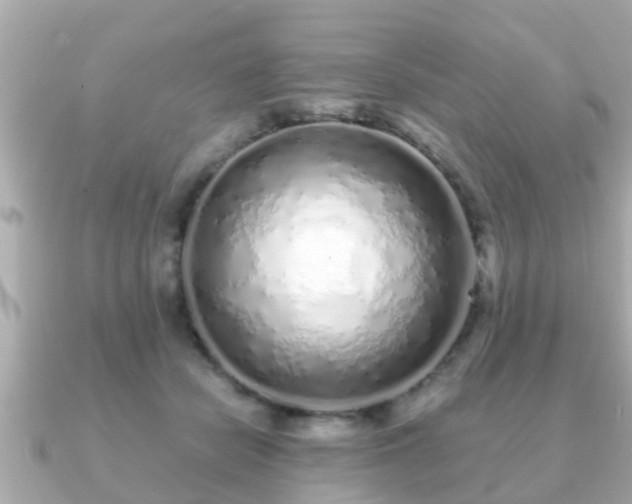 X0000091100462200708131109