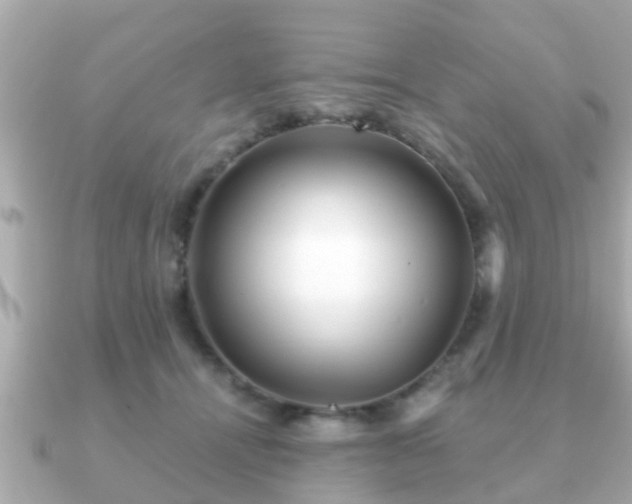 X0000091100464200708131109