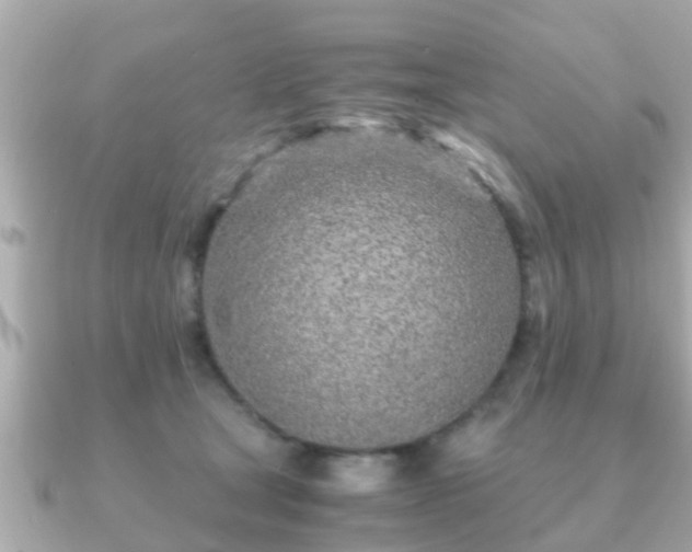 X0000091100465200708131109