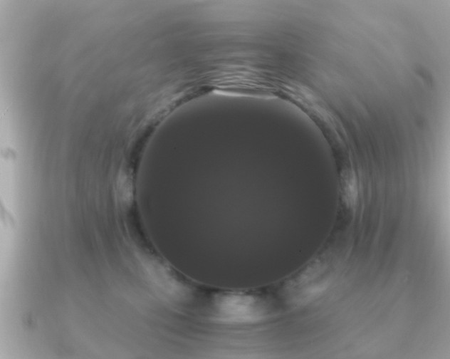 X0000091100471200708131109