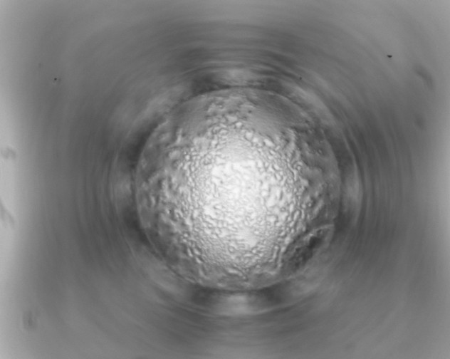 X0000091100473200708131109