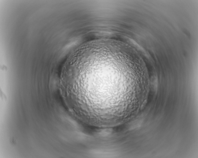 X0000091100474200708131109