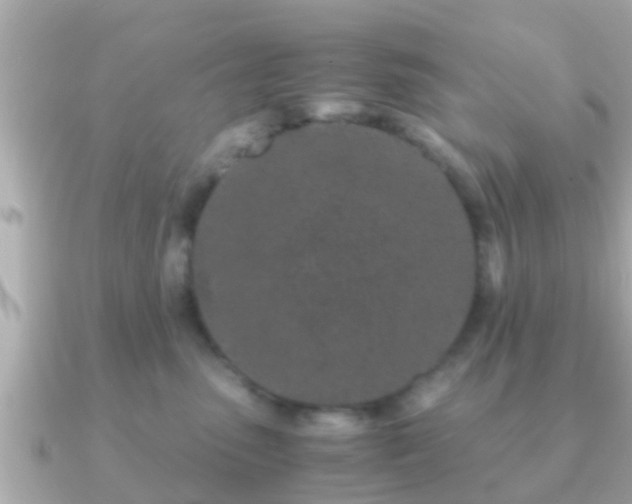 X0000091100475200708131109