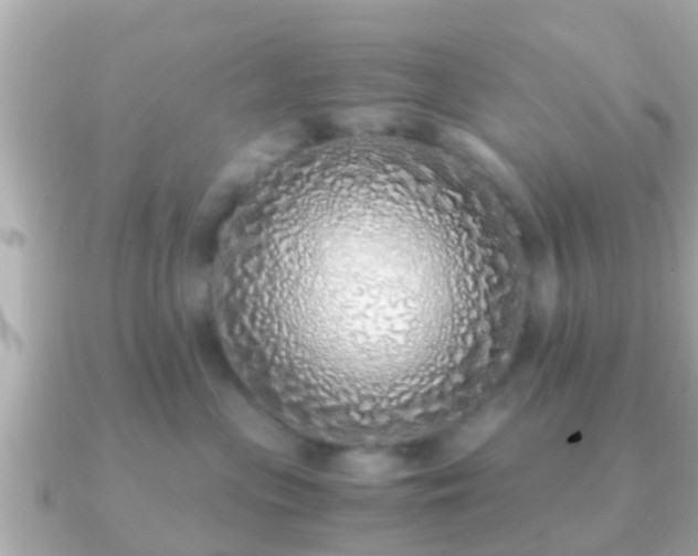 X0000091100477200708131109