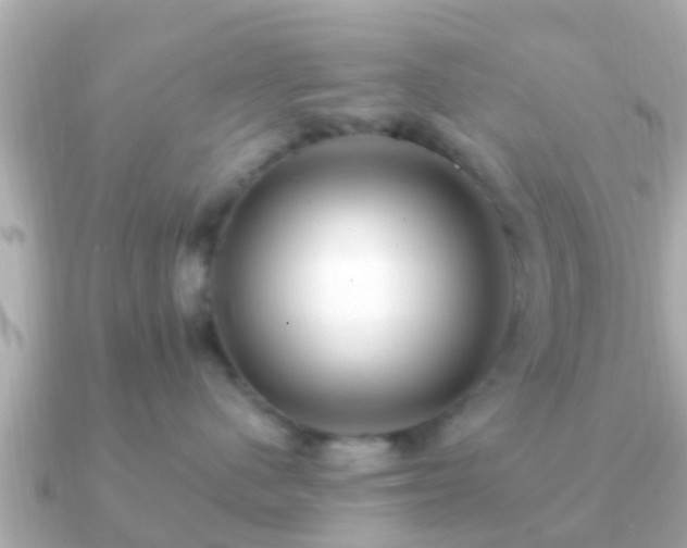 X0000091100480200708131109