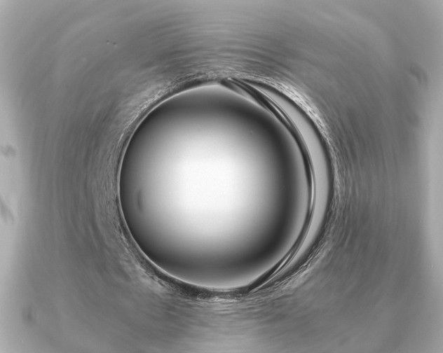 X0000091100481200708131109