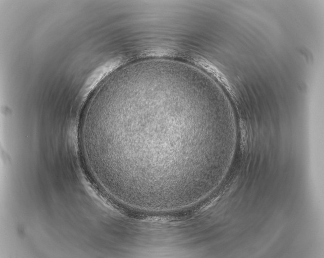 X0000091100482200708131109