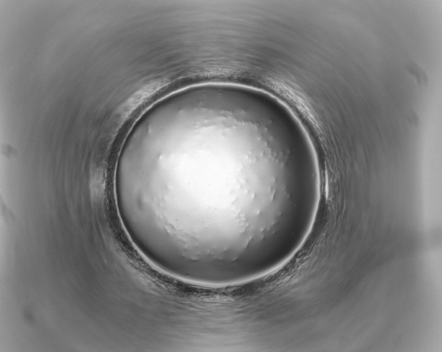 X0000091100483200708131109