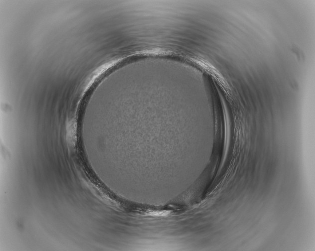 X0000091100484200708131109