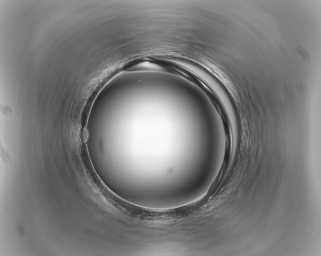 X0000091100485200708131109