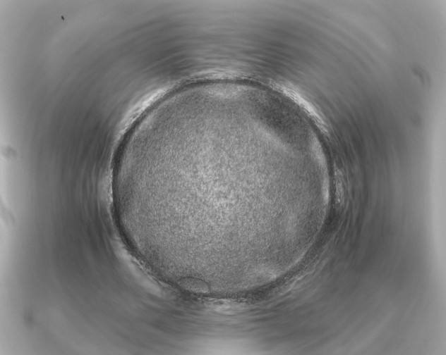 X0000091100486200708131109