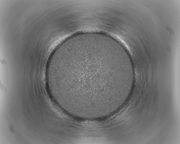 X0000091100487200708131109