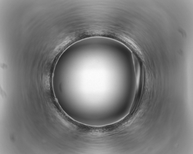 X0000091100489200708131109