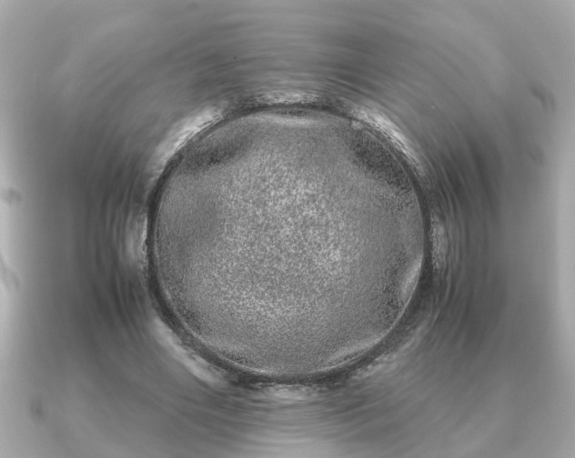 X0000091100490200708131109