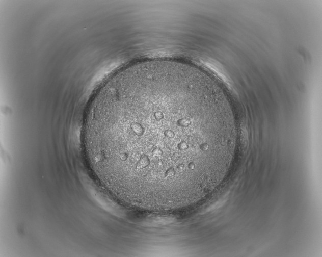 X0000091100491200708131109