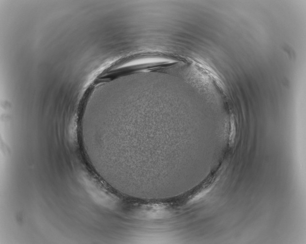 X0000091100492200708131109