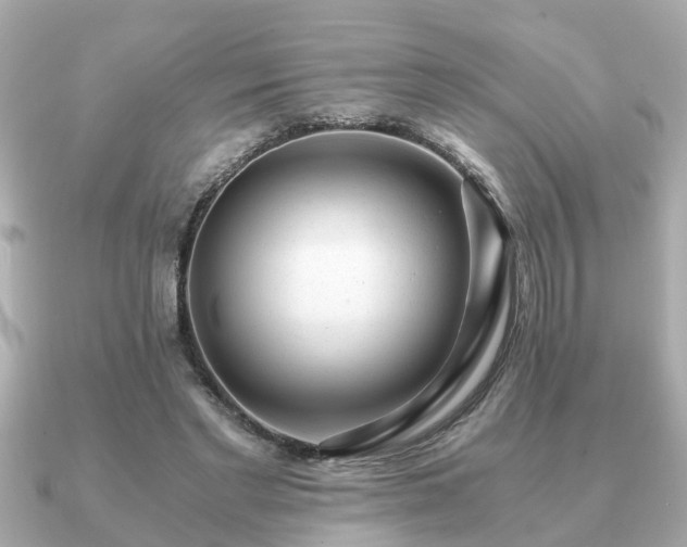 X0000091100493200708131109