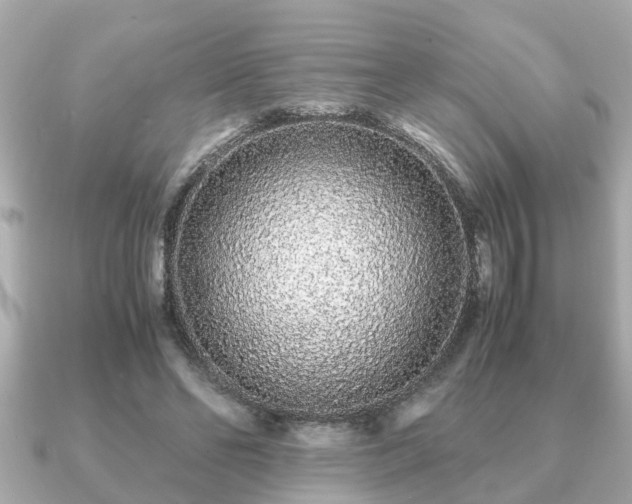 X0000091100494200708131109