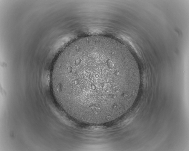 X0000091100495200708131109