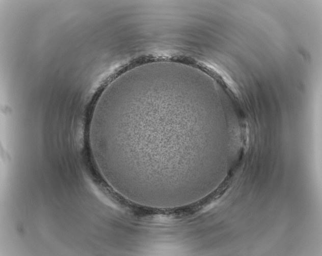 X0000091100496200708131109